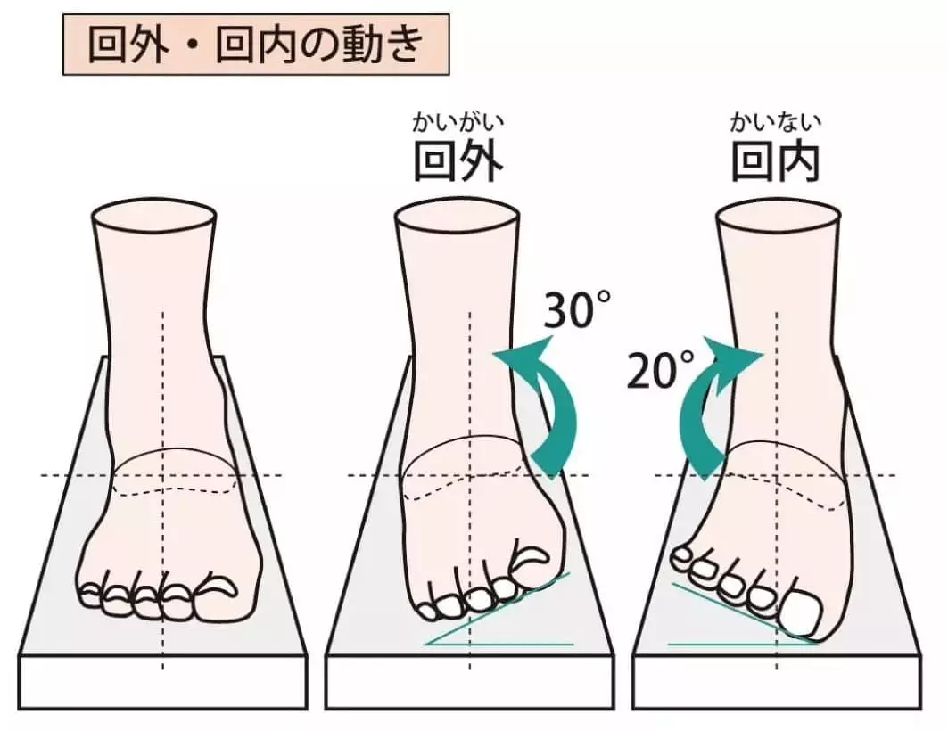足底筋膜炎の解説