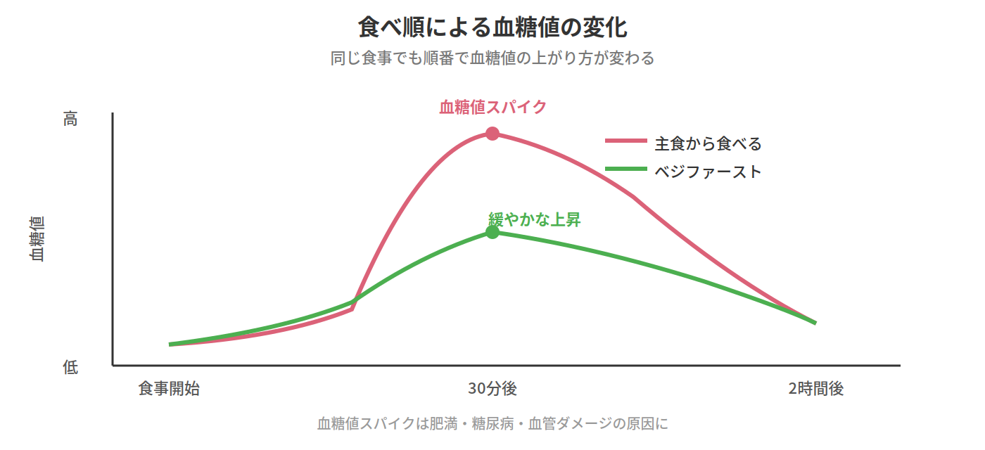 食べ順による血糖値の変化｜ベジファーストで血糖値スパイクを防ぐ
