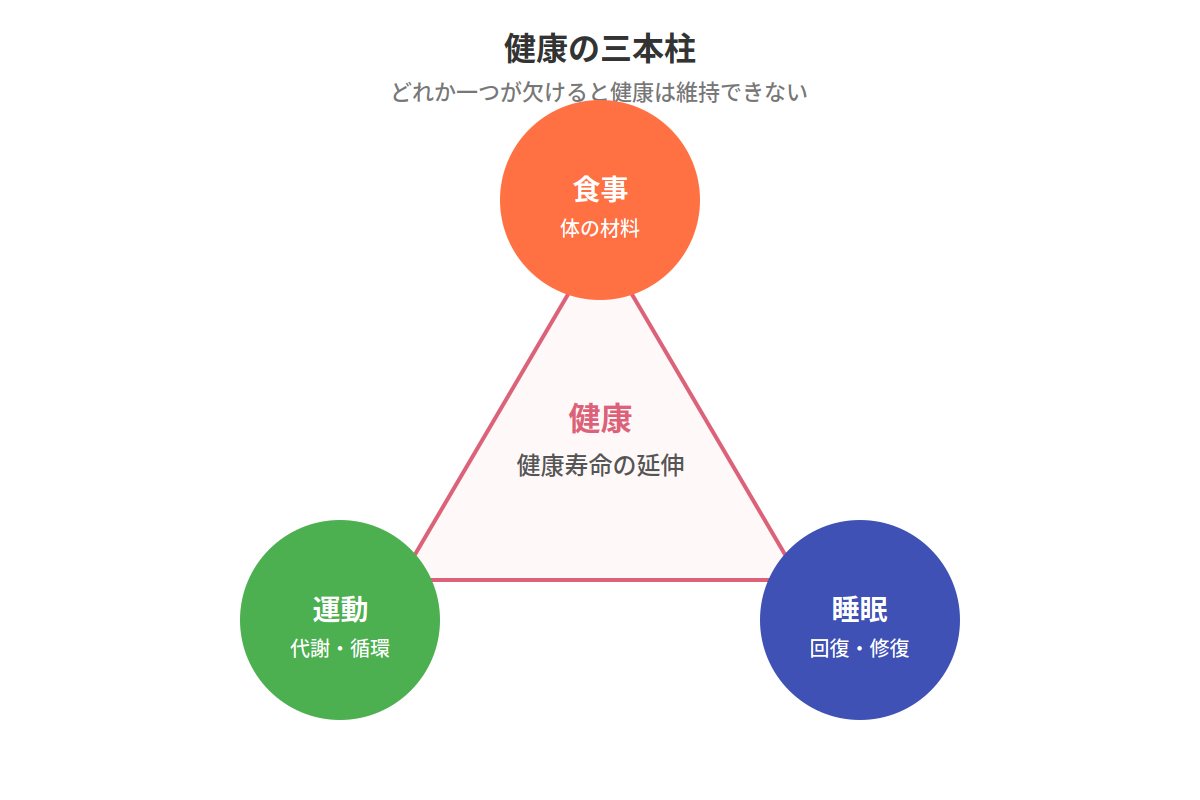 健康の三本柱｜食事・運動・睡眠のバランスが健康寿命を決める