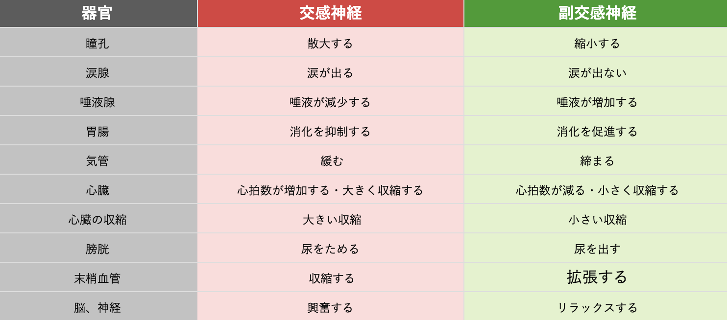 自律神経失調症のバランス図