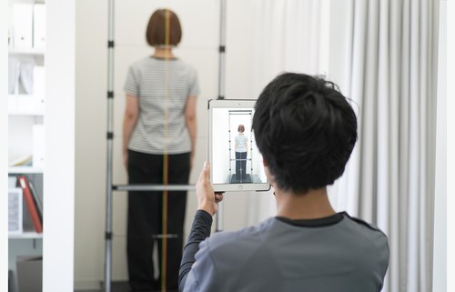 首の痛みに関わる全身バランスを見るイメージ