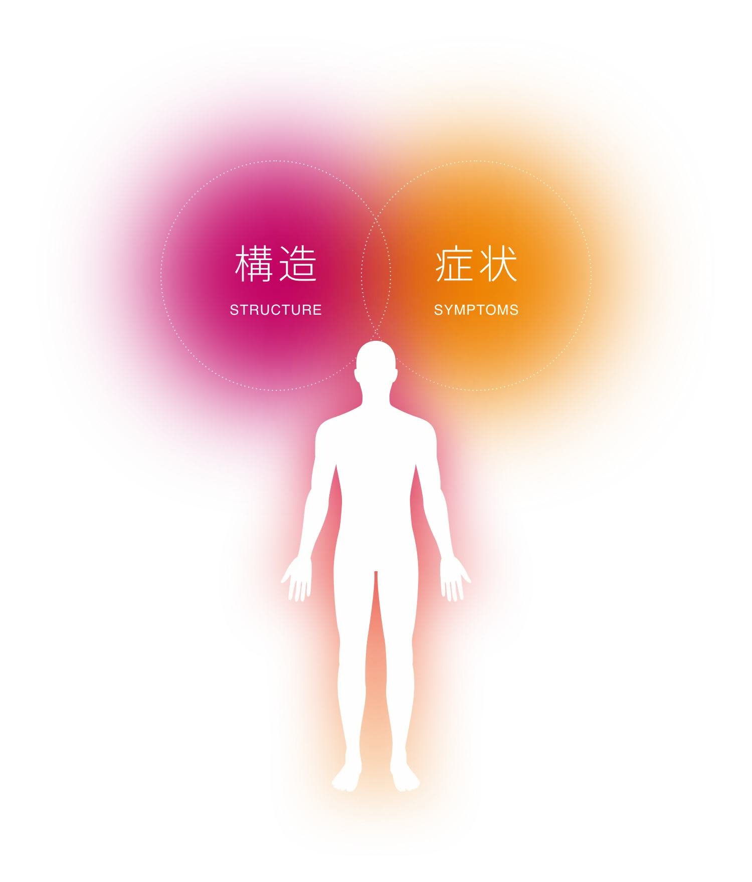 構造(STRUCTURE)症状(SYMPTOMS)