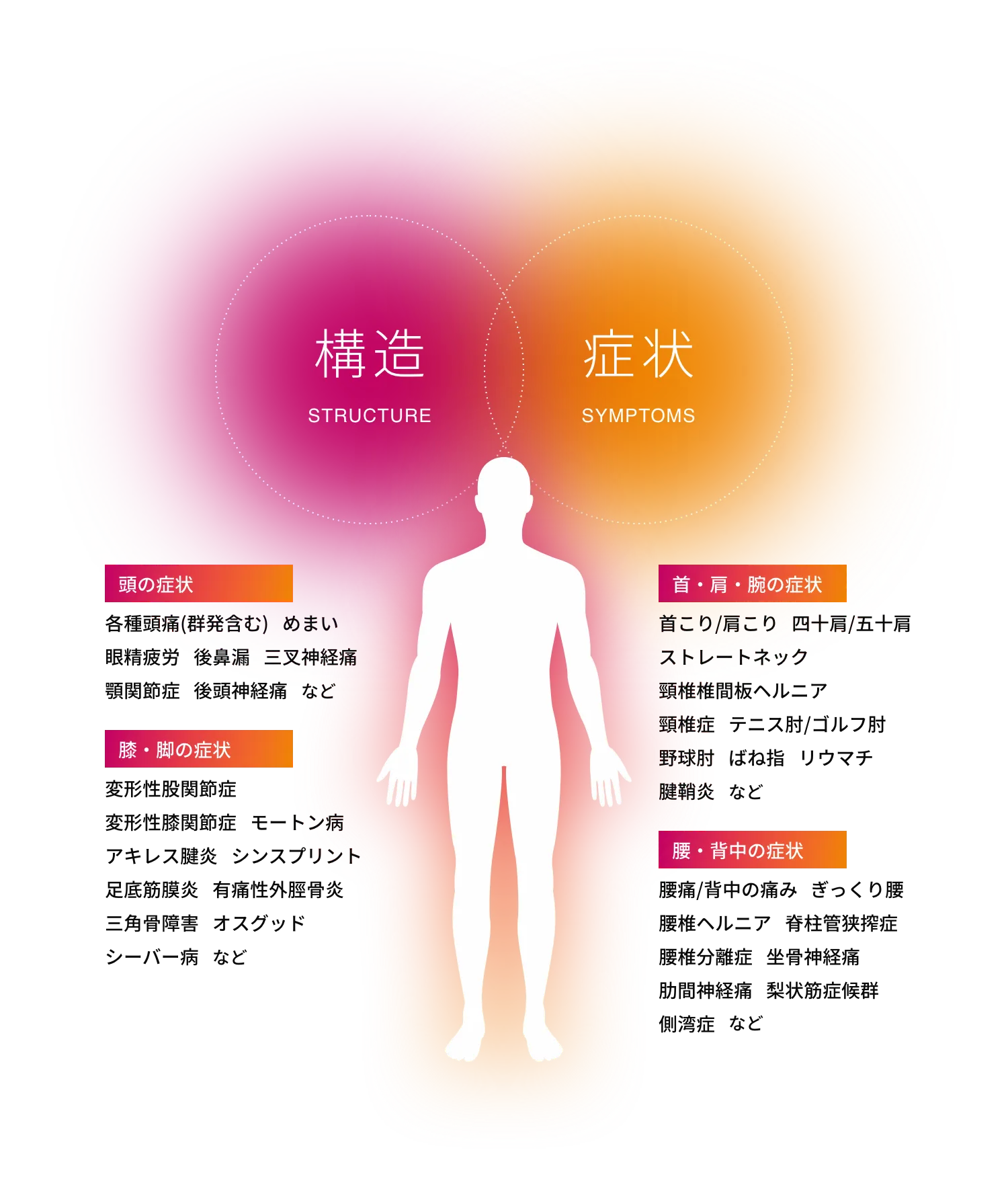 構造(STRUCTURE)症状(SYMPTOMS)