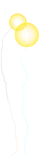 NS整体